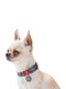 Ошейник для собак Re-cotton с QR паспортом, 25-35 см 15 мм Серый | 6391700 | фото 2