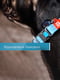 Нашийник для собак Re-cotton з QR паспортом, 28-40 см 20 мм Блакитний | 6391701 | фото 5