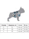 Шлея для собак анатомічна H-подібна Nylon з QR паспортом, з малюнком "Ловець снів", розмір S | 6392005 | фото 7