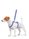 Шлея для собак анатомическая H-образная с QR паспортом, размер M | 6392006 | фото 2