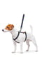 Шлея для собак анатомічна H-подібна Nylon з QR паспортом, з малюнком "Інді", розмір S | 6392008 | фото 2