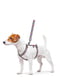 Шлея для собак анатомічна H-подібна Nylon з QR паспортом, з малюнком "Чарівні квіти", розмір S | 6392011 | фото 2