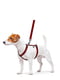 Шлея для собак анатомічна H-подібна Nylon з QR паспортом, з малюнком "Шотландка червона", розмір S | 6392014 | фото 2