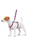 Шлея для собак анатомічна H-подібна Nylon з QR паспортом, з малюнком "Рожевий камо", розмір S | 6392020 | фото 2