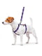 Шлея для собак анатомічна H-подібна Nylon з QR паспортом, з малюнком "Фіолетовий камо", розмір S | 6392023 | фото 2