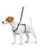 Шлея для собак анатомічна H-подібна Nylon з QR паспортом, з малюнком "ВАУ", розмір S | 6392026 | фото 2