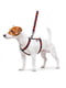 Шлея для собак анатомічна H-подібна Nylon з QR паспортом, з малюнком "Графіті", розмір S | 6392029 | фото 2