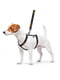 Шлея для собак анатомічна H-подібна Nylon з QR паспортом, з малюнком "NASA", розмір S | 6392032 | фото 2