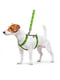 Шлея для собак анатомічна H-подібна Nylon з QR паспортом, з малюнком "Авокадо", розмір S | 6392038 | фото 2