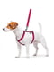 Шлея для собак анатомическая H-образная Nylon с QR паспортом, с рисунком "Арбуз", размер S | 6392041 | фото 2
