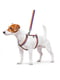 Шлея для собак анатомічна H-подібна Nylon з QR паспортом, з малюнком "Лінія 1", розмір S | 6392044 | фото 2