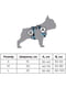 Шлея для собак анатомическая H-образная Nylon с QR паспортом, с рисунком "Линия 1", размер S | 6392044 | фото 7