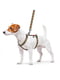 Шлея для собак анатомическая H-образная Nylon с QR паспортом, с рисунком "Гламурные черепа", размер S | 6392047 | фото 2