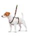 Шлея для собак анатомическая H-образная Nylon с QR паспортом, с рисунком "Витраж", размер S | 6392053 | фото 2