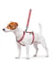 Шлея для собак анатомическая H-образная Nylon с QR паспортом, с рисунком "Этно красный", размер S | 6392062 | фото 2