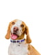 Нашийник для собак з QR паспортом, Білий 18-24 см 12 мм | 6392081 | фото 2