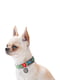 Ошейник для собак Re-cotton с QR паспортом, 25-35 см 15 мм Зеленый | 6392241 | фото 2