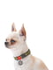Нашийник для собак з QR-паспортом, малюнок "Мілітарі", розмір M, 28-40 см 20 мм | 6392263 | фото 2