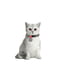 Ошейник для котов и мелких пород собак с резинкой c QR-паспортом, рисунок "Милитари", XS, 20-30 см 10 мм | 6392268 | фото 2