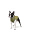 Курточка для собак, малюнок "Мілітарі", розмір XS22 | 6392275 | фото 2