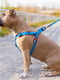 Шлея для собак водостійка, фастекс 30-39 см 15 мм Блакитна | 6392360 | фото 2