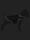 Курточка-накидка для собак чорна, розмір M | 6392374 | фото 4