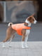 Курточка-накидка для собак оранжевая, размер XXS | 6392383 | фото 3