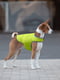 Курточка-накидка для собак салатовая, размер XXS | 6392389 | фото 3