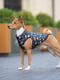 Курточка для собак, малюнок "Рік та Морті 2", розмір M45 | 6392733 | фото 2