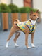 Курточка для собак, малюнок "Рік та Морті 3", розмір XS22 | 6392738 | фото 2