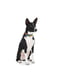 Ошейник для собак с QR паспортом, рисунок "Рик и Морти 1", 25-35 см 15 мм | 6392759 | фото 4