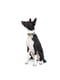 Ошейник для собак с QR паспортом, Черный 26-35 см 15 мм | 6392788 | фото 2