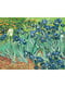 Картина за номерами "Іриси. Ван Гог" (40х50 см)    | 6424480