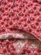 Боді-сукня рожева в принт | 6425870 | фото 3