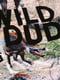 Реглан "WILD DUDE" кольоровий з принтом | 6427563 | фото 3