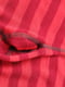 Кальсоны в красную полоску шерстяные | 6430231 | фото 4