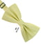 Краватка-метелик кольору айворі | 6457114 | фото 3
