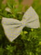 Галстук-бабочка серый с лимонными крестиками | 6457451 | фото 2