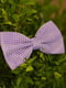 Краватка-метелик бузкова в дрібний горошок | 6457454 | фото 2