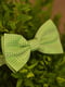 Галстук-бабочка салатовый в зеленый горошек | 6457455 | фото 2