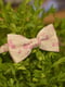 Краватка-метелик бежево-рожева з малюнком | 6457465 | фото 2