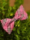 Краватка-метелик рожева у клітинку | 6457468 | фото 2