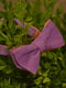 Краватка-метелик льняна двоколірна | 6457479 | фото 7