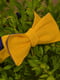 Галстук-бабочка сине-желтый двухсторонний | 6457544 | фото 6
