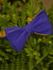 Краватка-метелик синьо-жовта двостороння | 6457546 | фото 2