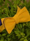 Галстук-бабочка сине-желтый двухсторонний | 6457546 | фото 4