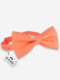 Краватка-метелик персикового кольору | 6457717 | фото 2