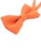 Бабочка оранжевая Bright Tiger - стандартная | 6458490 | фото 2