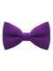 Краватка-метелик фіолетова | 6458512