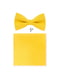 Набор: галстук-бабочка и носовой платок | 6458728